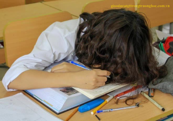 no mon bao lau thi bi duoi 1