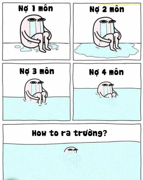 no mon co lam do an tot nghiep duoc khong 1